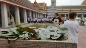 Teich im Wat Pho