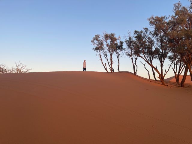 Goldi auf einer Düne in der Sahara